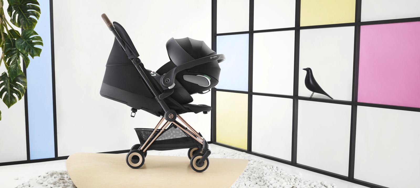 coya cybex vs orfeo｜Recherche TikTok