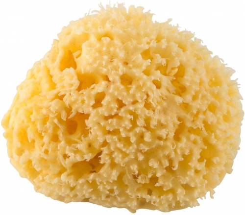 ROTHO Mediterranean Sponge