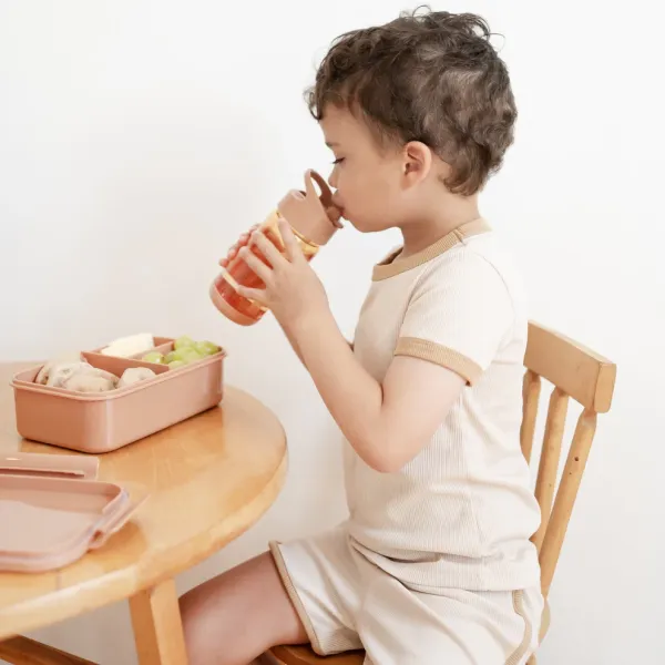 3 SPROUTS Lunch Bento Box - Rust