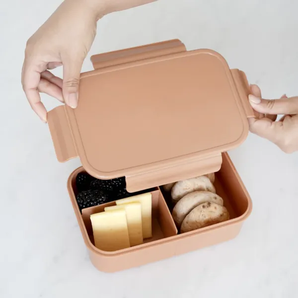 3 SPROUTS Lunch Bento Box - Rust