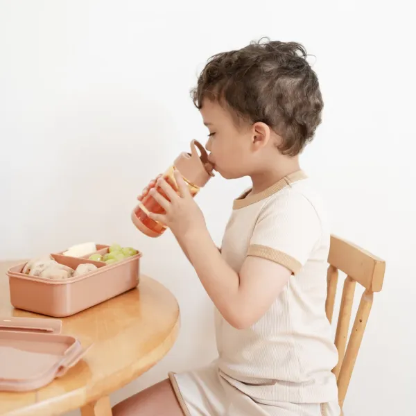 3 SPROUTS Water Bottle - Rust