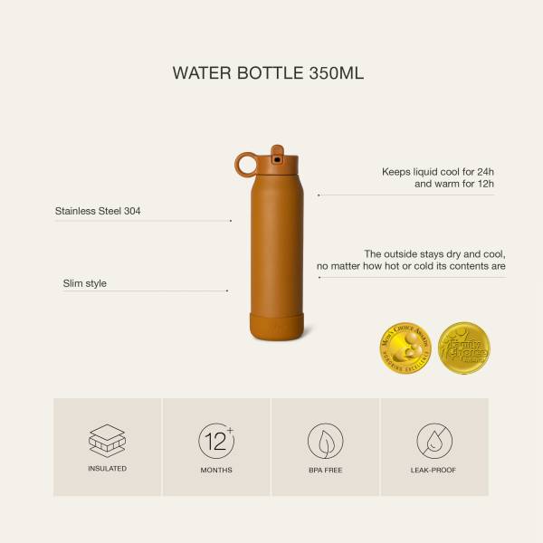Citron Stainless Steel Thermos Bottle 350ml - Ballerina