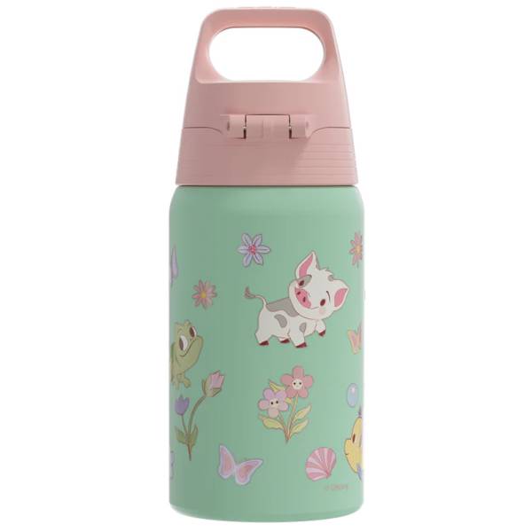 SIGG Bottle 0.5 Stainless Steel Shield - Princesses