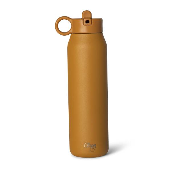 Citron Stainless Steel Thermos Bottle 350ml - Caramel
