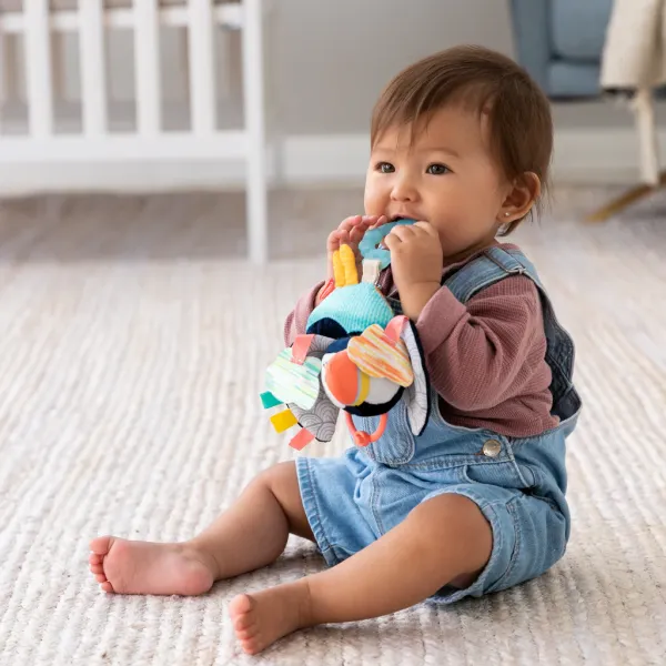 INFANTINO Jittery Puffin