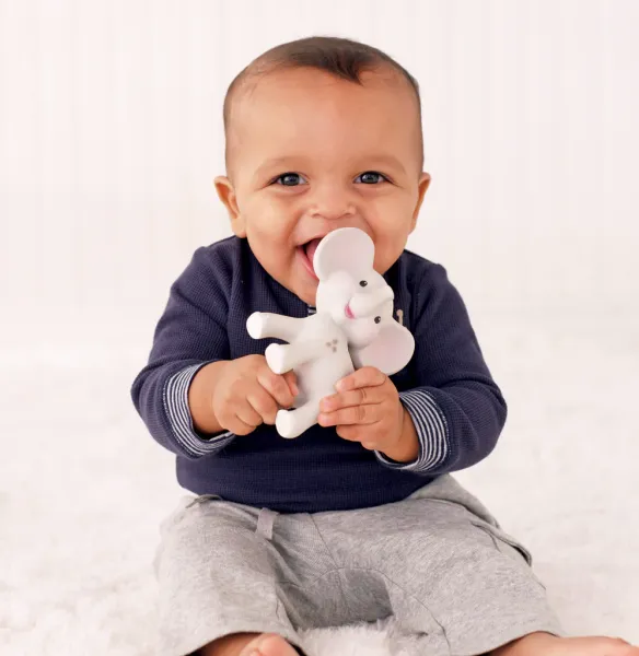 INFANTINO Squeeze & Teethe - Elephant