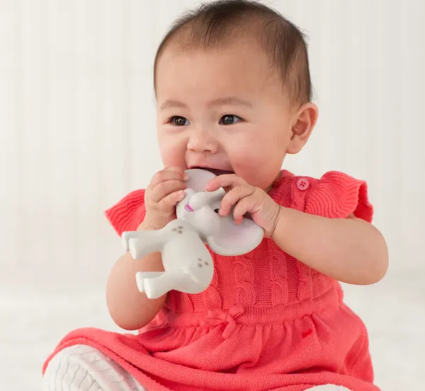 INFANTINO Squeeze & Teethe - Elephant