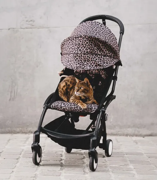 YOYO 6+ Stokke Color Pack - Leopard