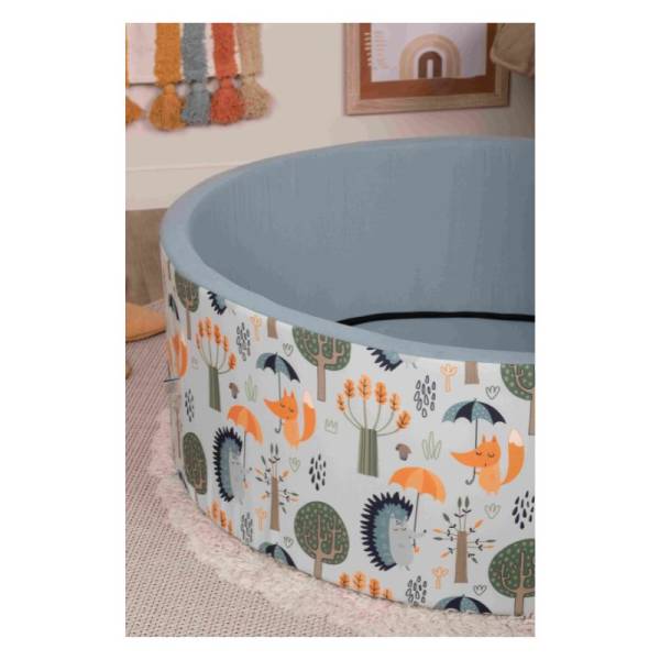 DTB Dry Pool - Fox and Hedgehogs