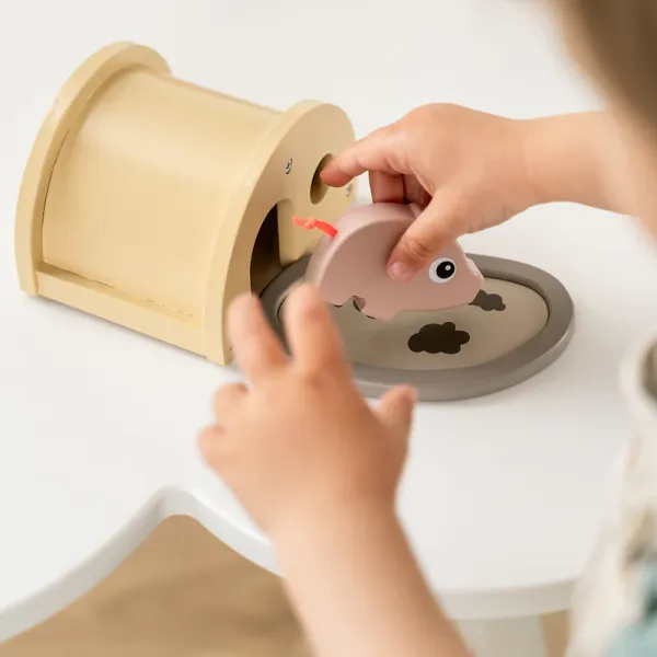 DONE BY DEER Play set Tiny Farm Pigee - mix colour